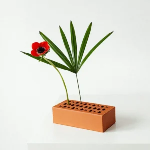 Decorative Plant With Brick Pot