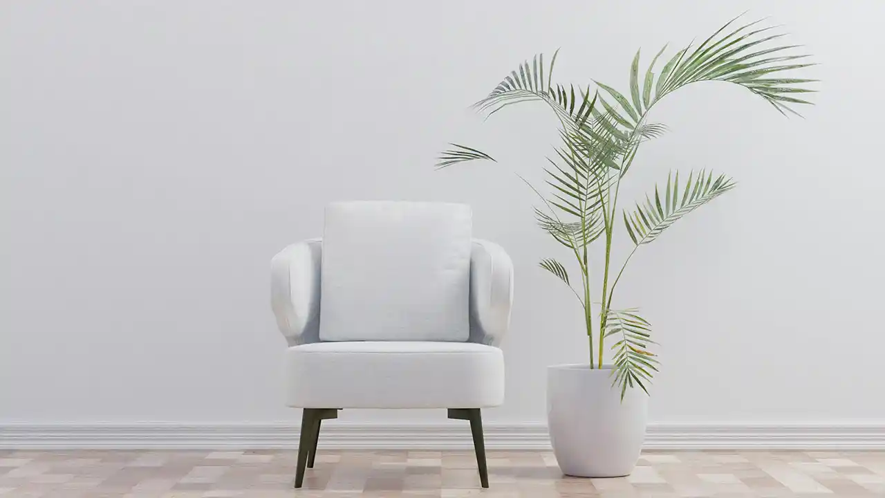 Less is More: Embracing Minimalist Living Room Design