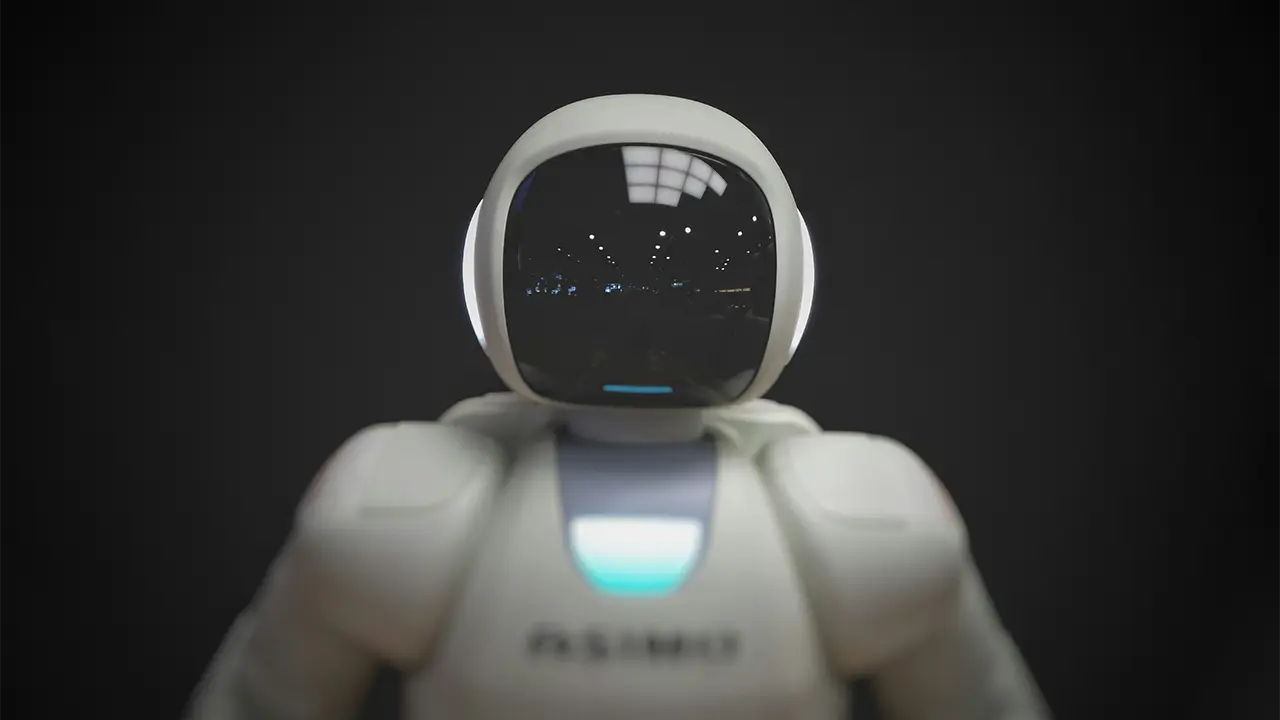 Meet the Robots: Our Future Co-Workers?