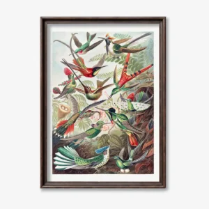 Colorful Bird Flock