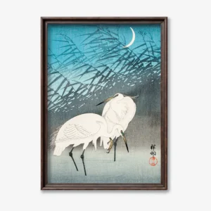 Japanese Crane Birds